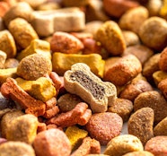 Pet Food Extrusion Making