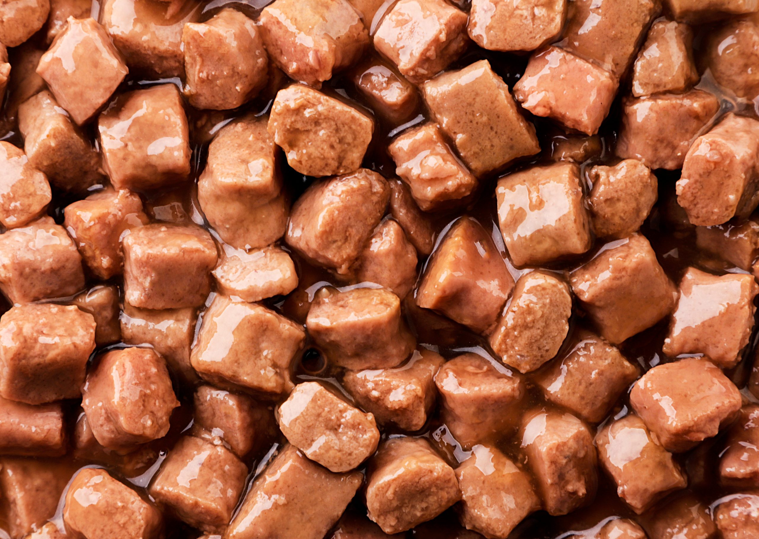 Wet pet food making equipment