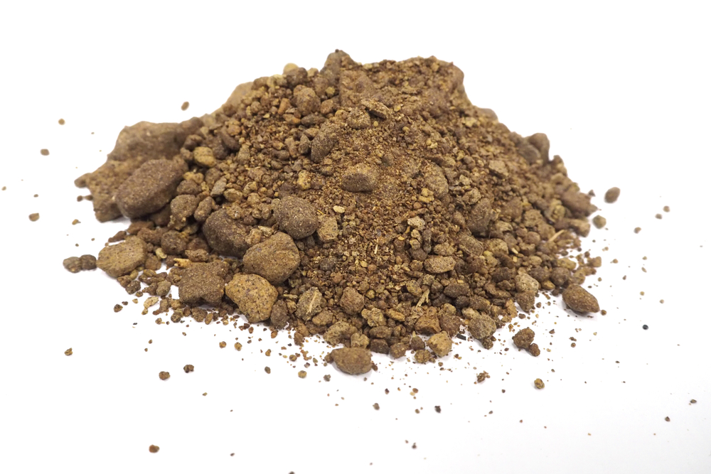 Canola meal making equipment