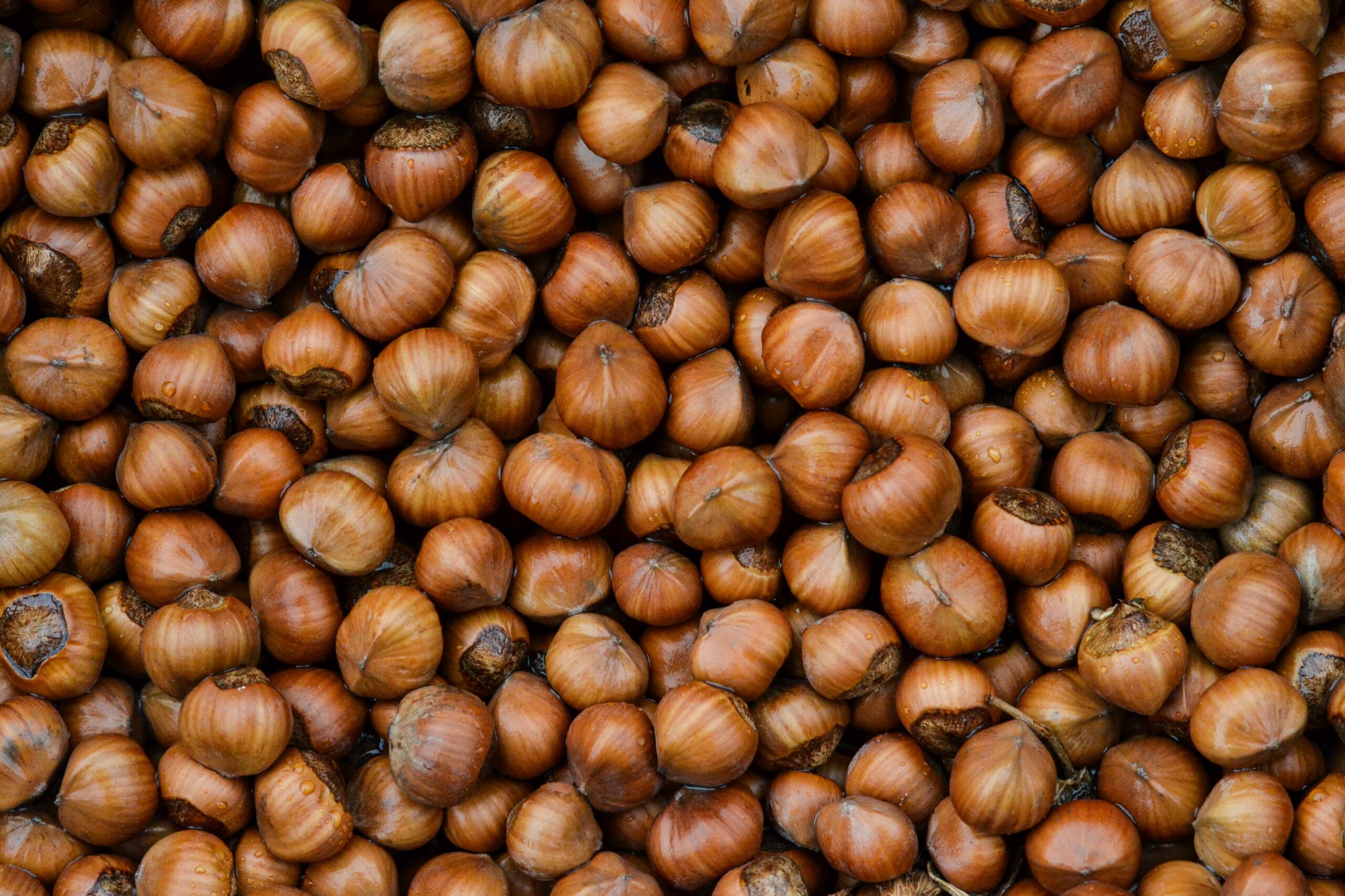 Say no to food waste. How to protect your hazelnuts from going rancid