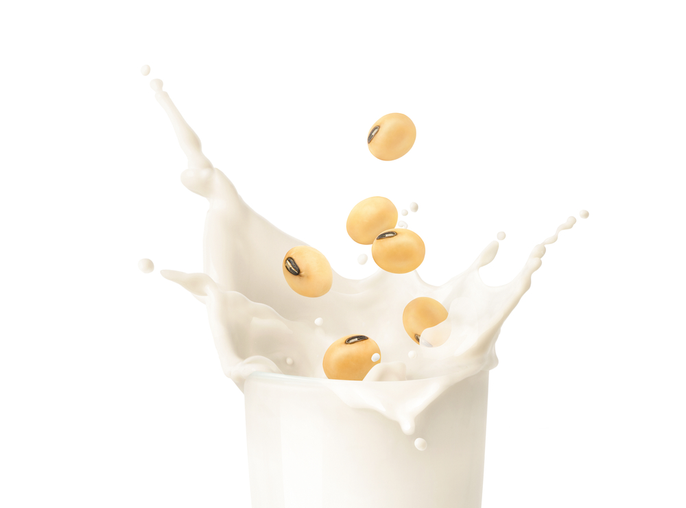 Soy milk making equipment